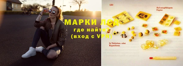 спайс Богданович