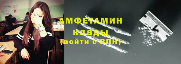 спайс Богданович