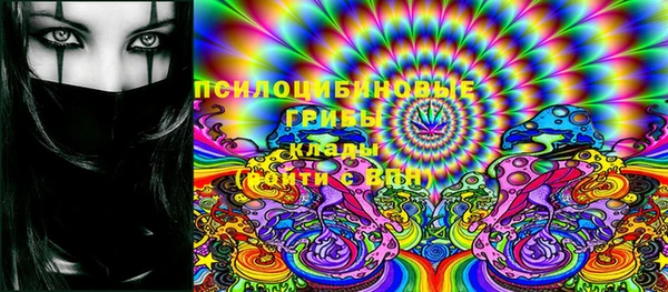 сатива Богородицк