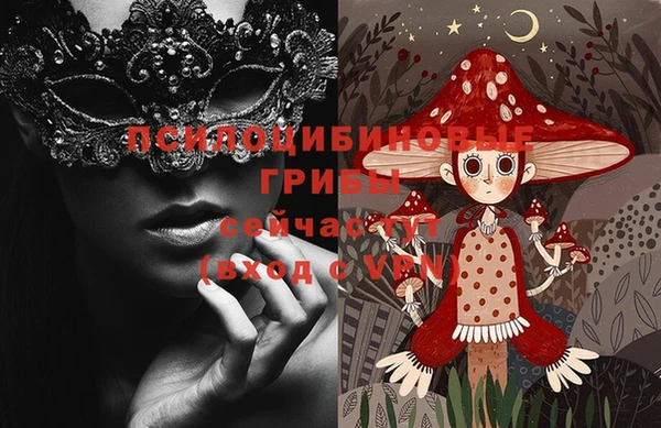 спайс Богданович