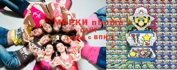 сатива Богородицк