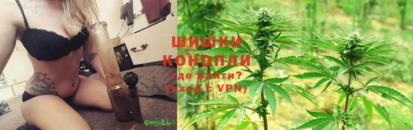 мяу мяу мука Белокуриха