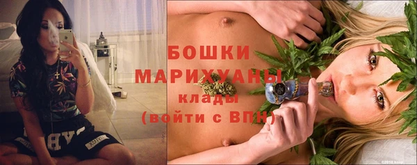сатива Богородицк