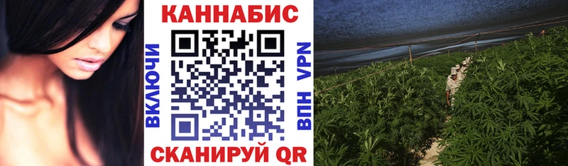 наркотики  Велиж  Конопля Amnesia 
